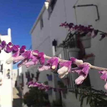 Casa Arena Y Sal En Pleno Casco Antiguo De Vejer Villa Vejer de la Frontera Kültér fotó
